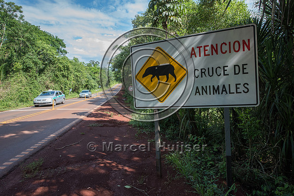 Wildlife warning sign for South American tapir,Argentina