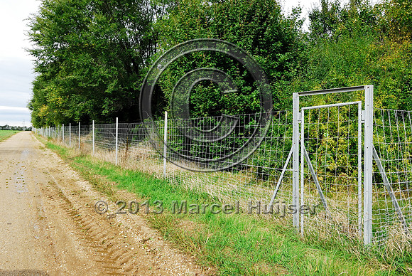 Wildlife fence and gate at multifunctional underpass, under A4 motorway, Parndorf, Austria