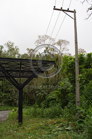 Canopy crossing, "park road" (estrada-parque) Capelinha-Mauá (R