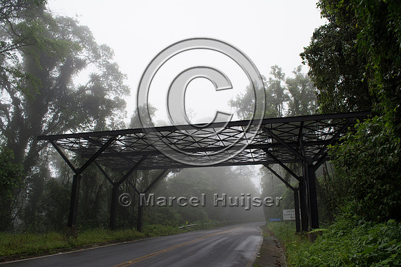 Canopy crossing for arboreal mammals, "park road" (estrada-parqu