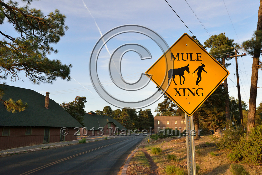 Road ecology blog: Warning sign, Mule xing, Grand Canyon National Park, Arizona, USA