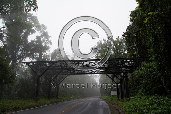 Canopy crossing for arboreal mammals, "park road" (estrada-parqu