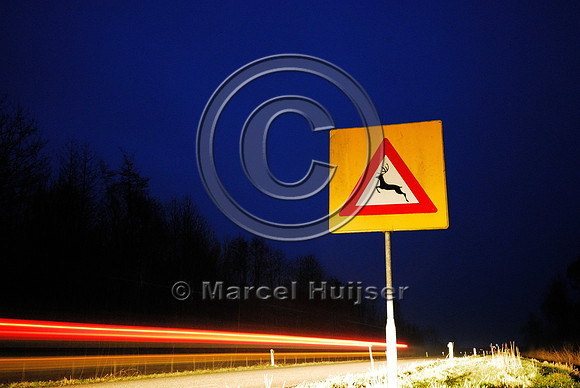 Deer warning sign
