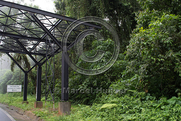 Canopy crossing for arboreal mammals, "park road" (estrada-parqu
