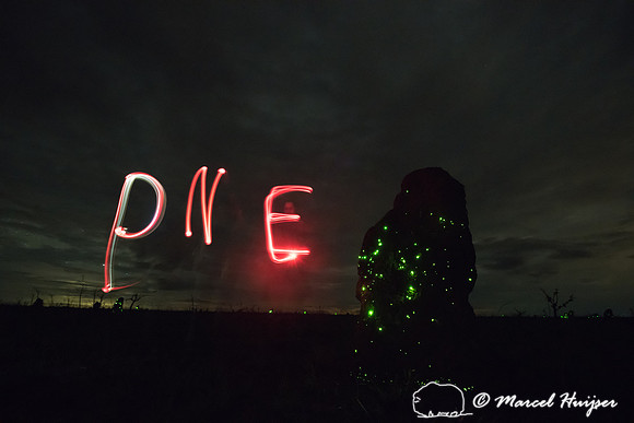 PNE (Parque Nacional das Emas) light painted with flashlights ne