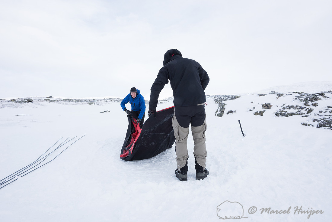 Niels Kooijman and Marcel Huijser pitch the tent, Dovrefjell, No
