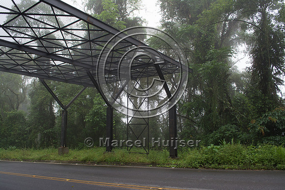 Canopy crossing for arboreal mammals, "park road" (estrada-parqu