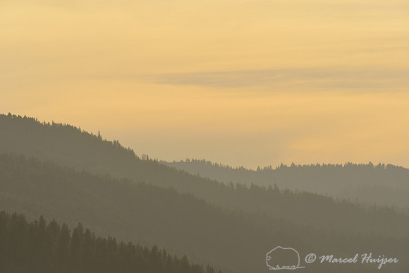 Forested ridges at sunset, west of Missoula, Montana, USA