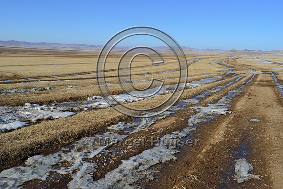 Dirt road (parallel two tracks) just north of Khustain Nuruu National Park, Mongolia