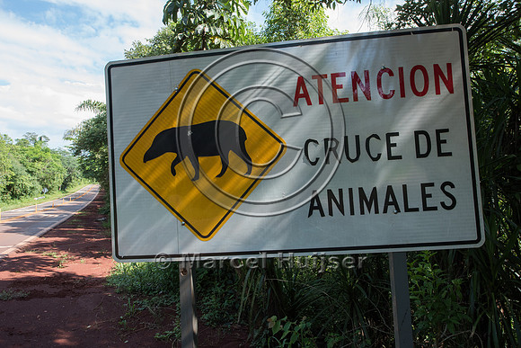 Wildlife warning sign for South American tapir,Argentina