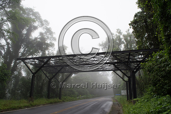 Canopy crossing for arboreal mammals, "park road" (estrada-parqu
