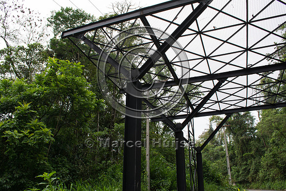 Canopy crossing, "park road" (estrada-parque) Capelinha-Mauá (R