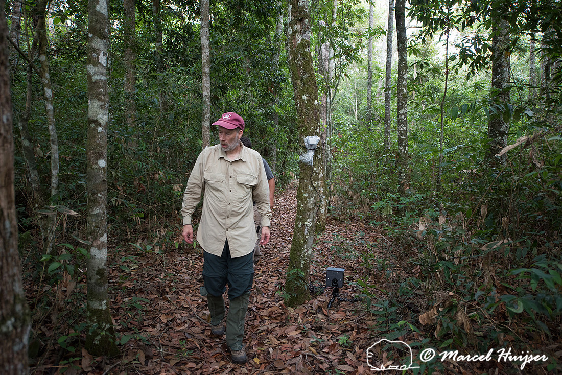 Marcel Huijser sets up a camera trap, Parque Nacional das Emas,
