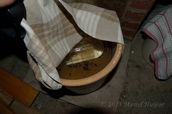 Homemade croc pickles, Missoula, Montana, USA