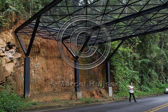 Canopy crossing, "park road" (estrada-parque) Capelinha-Mauá (R