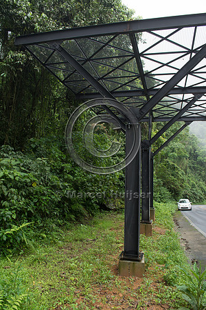 Canopy crossing for arboreal mammals, "park road" (estrada-parqu