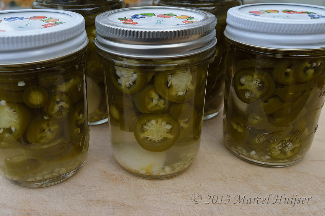 Harvest: Canned Jalapeño peppers from our garden, Missoula, Montana, USA