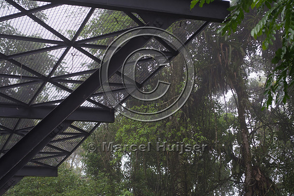 Canopy crossing for arboreal mammals, "park road" (estrada-parqu
