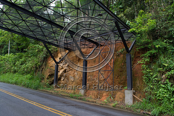 Canopy crossing, "park road" (estrada-parque) Capelinha-Mauá (R