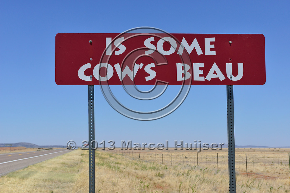 Is some cow