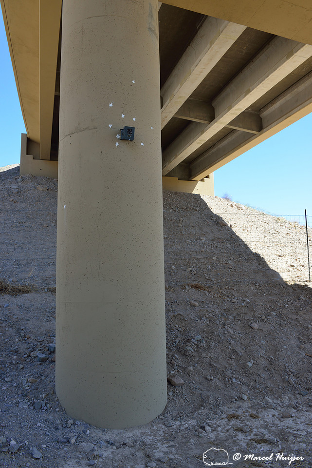 Wildlife cameras at crossing structures, Arizona, USA
