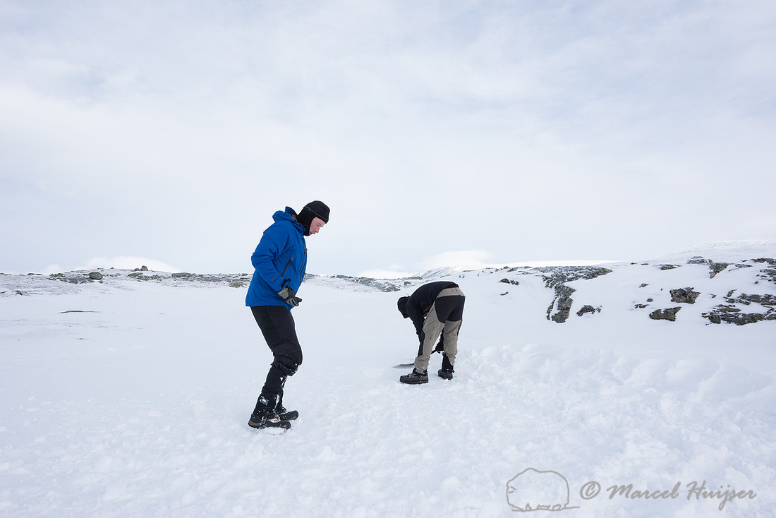 Niels Kooijman and Marcel Huijser level the tent site and compac