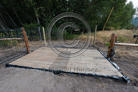 Electrified drive-over barrier to keep black bears out of a melo