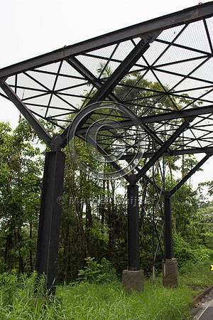 Canopy crossing, "park road" (estrada-parque) Capelinha-Mauá (R