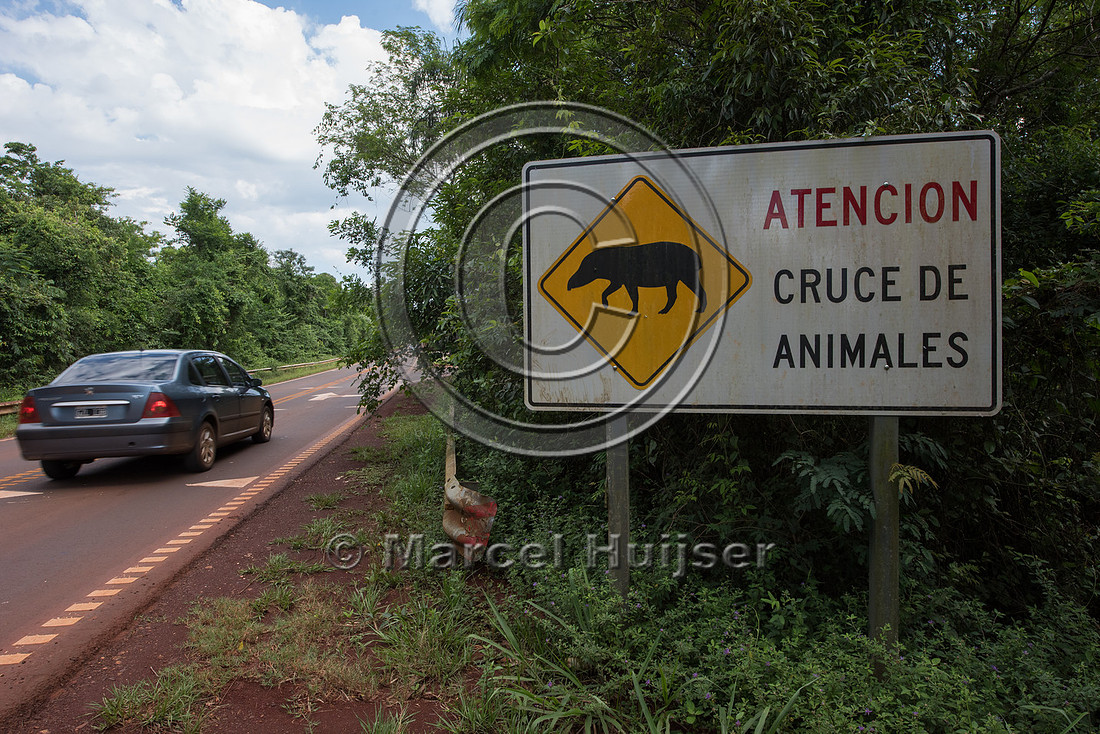 Wildlife warning sign for South American tapir,Argentina