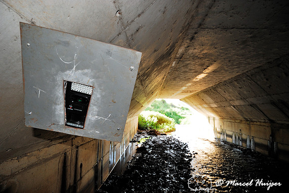 Wildlife camera in multifunctional underpass, SP-225 motorway, Brotas, Brazil