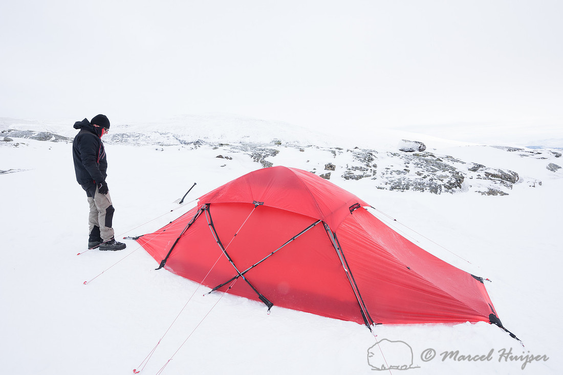 Niels Kooijman and Marcel Huijser pitch the tent, Dovrefjell, No