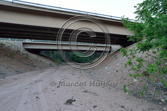 Wildlife underpass ("east underpass" at Little green Valley) for deer (Odocoileus spp.) and elk (Cervus canadensis) along SR 260, east of Payson, Arizona, USA