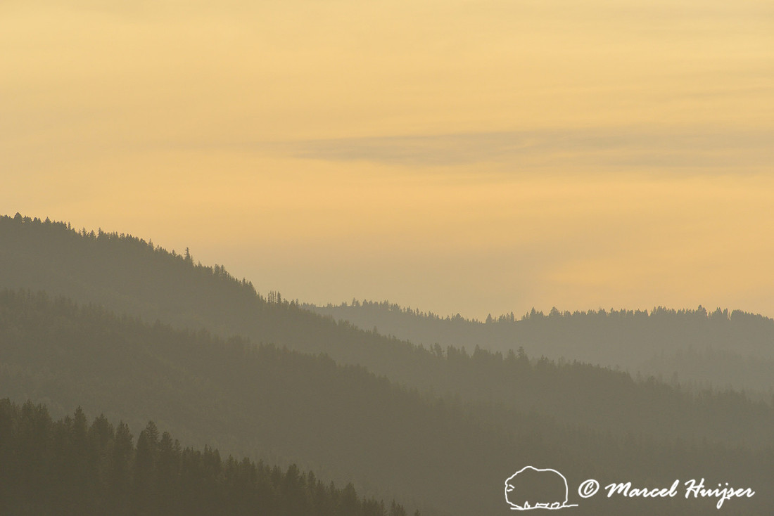 North American landscapes: Forested ridges at sunset, west of Missoula, Montana, USA