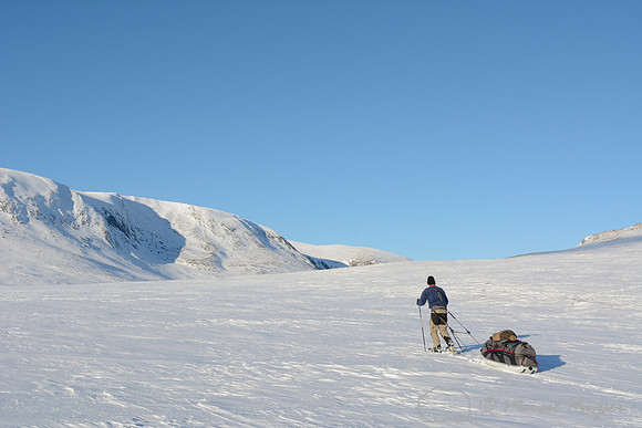 The making of the muskoxen images, Niels Kooijman pulls his Fjellpulken sled towards camp 2, Dovrefjell National Park, Norway