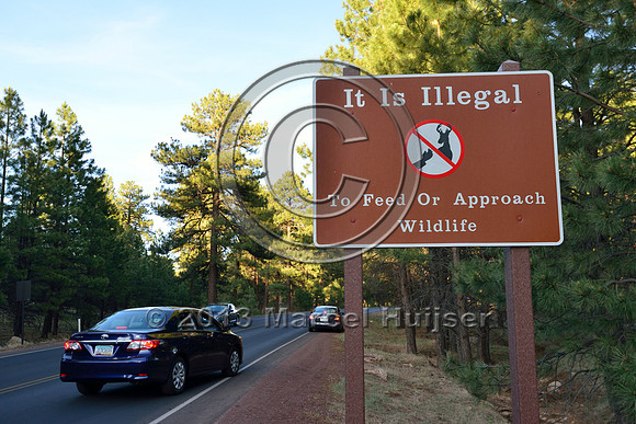 Warning sign, It is illegal to feed or approach wildlife, Grand Canyon National Park, Arizona, USA
