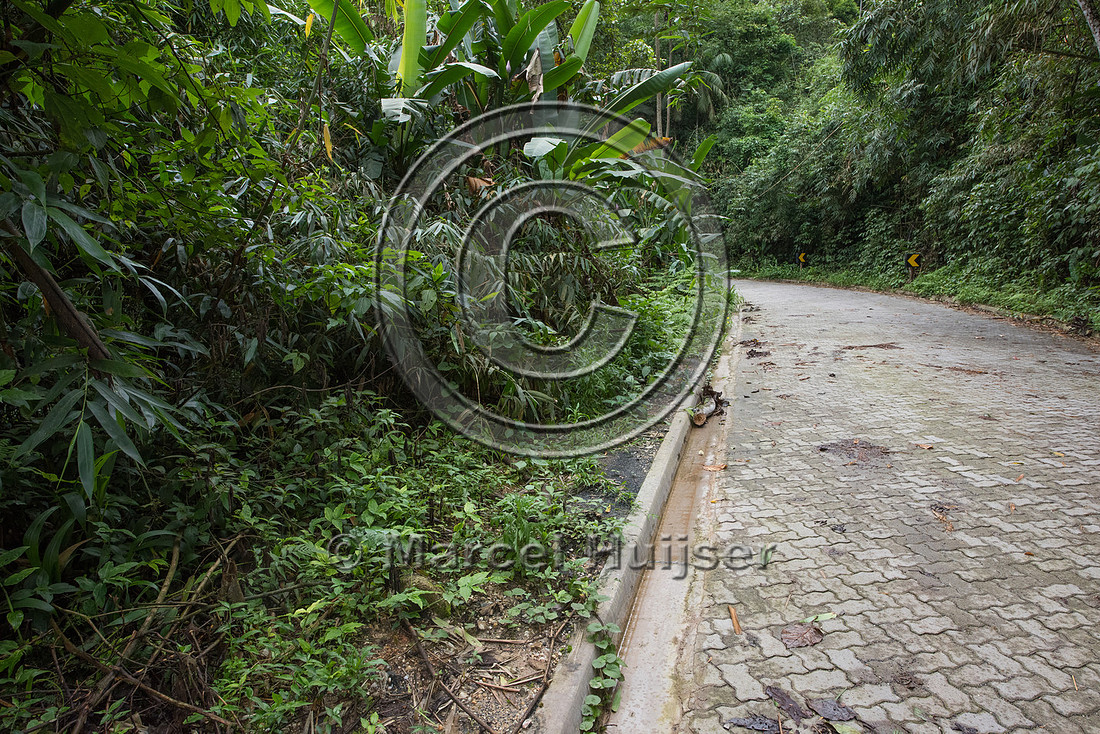 Low design speed of road, Brazil