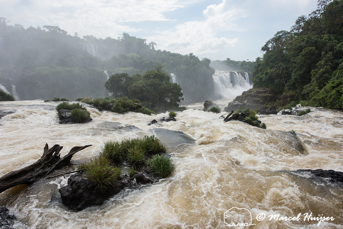 Brazilian landscapes: Iguazu Falls, Parque Nacional do Iguaçu, Paraná, Brazil