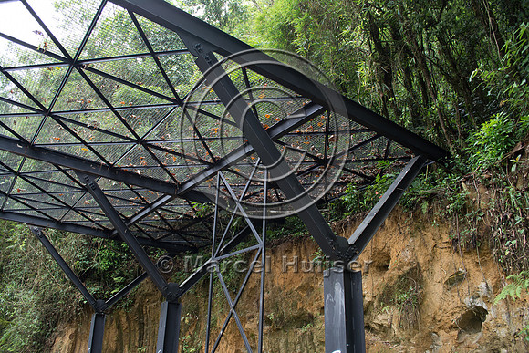 Canopy crossing, "park road" (estrada-parque) Capelinha-Mauá (R