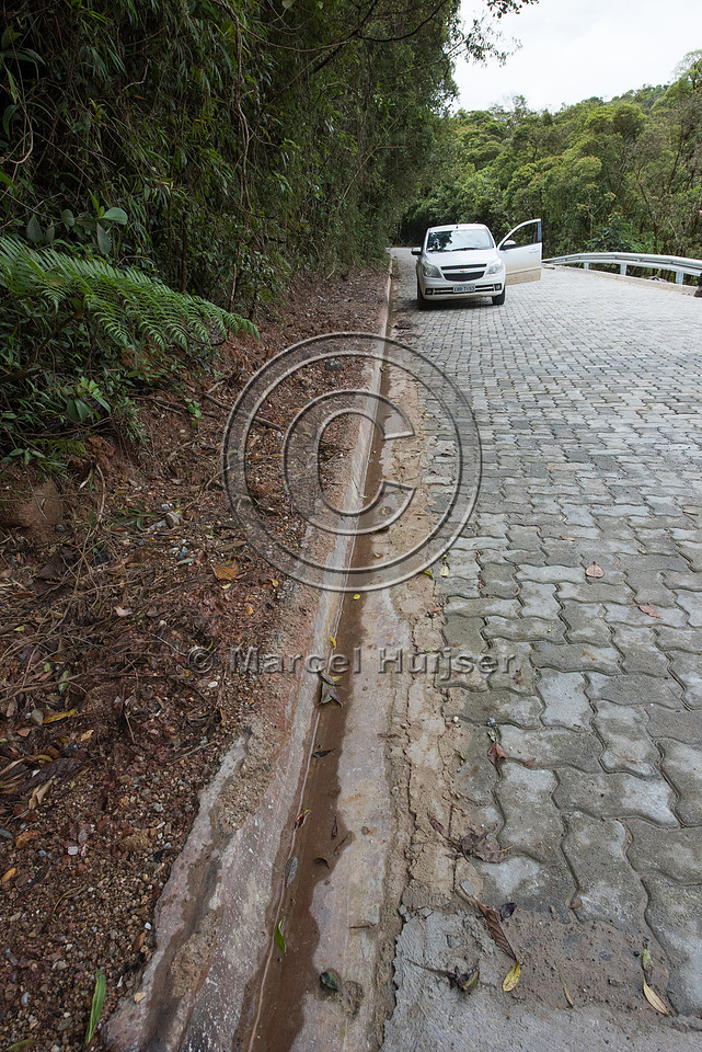 The concrete curb may well be a barrier to small species, Brazil