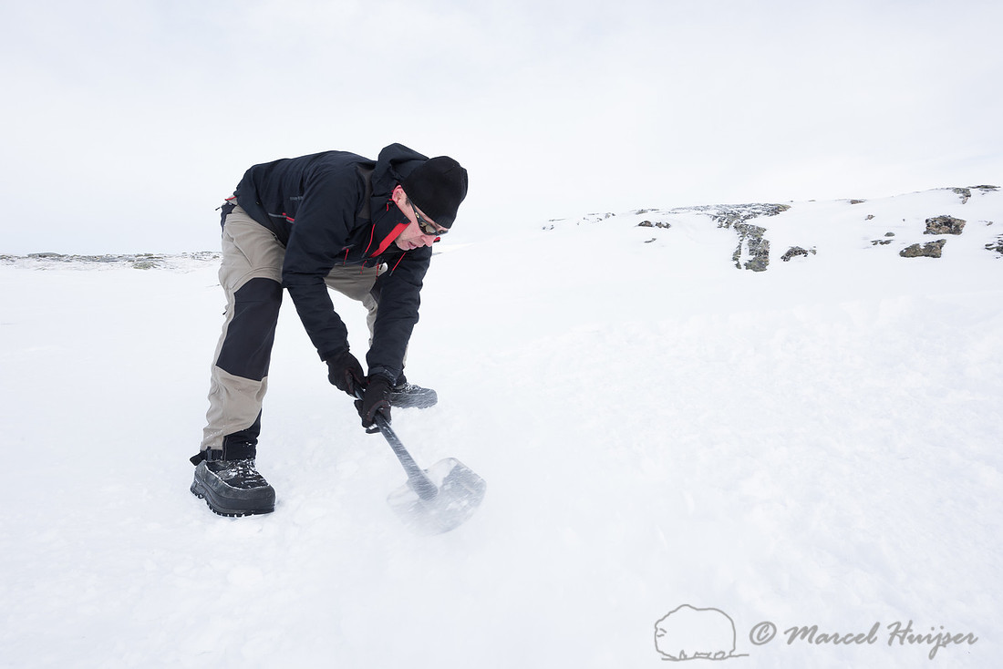 Niels Kooijman levels the tent site and compacts the snow, Dovre