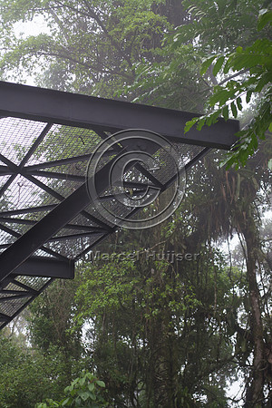 Canopy crossing for arboreal mammals, "park road" (estrada-parqu