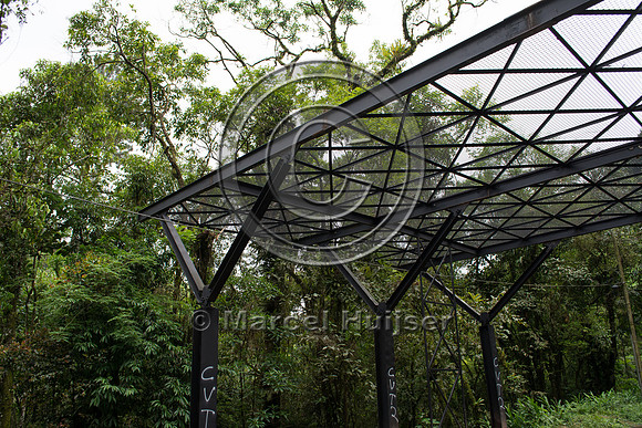 Canopy crossing, "park road" (estrada-parque) Capelinha-Mauá (R