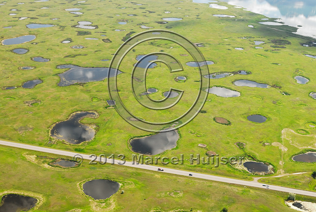 Road ecology blog: Ninepipe prairie pothole wetland, US Hwy 93, Flathead Indian Reservation, Montana, USA