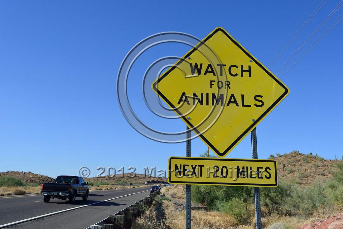 Road ecology blog: Wildlife warning sign, Watch for animals, next 20 miles, NE of Phoenix, Arizona, USA