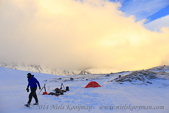 Marcel Huijser in Dovrefjell National Park, Norway