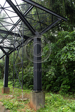 Canopy crossing for arboreal mammals, "park road" (estrada-parqu