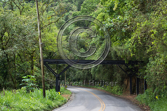 Canopy crossing, "park road" (estrada-parque) Capelinha-Mauá (R
