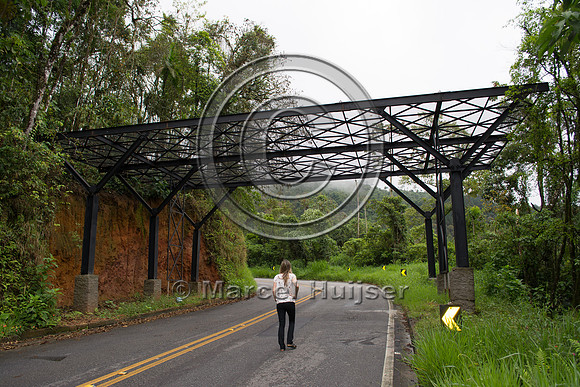 Canopy crossing, "park road" (estrada-parque) Capelinha-Mauá (R