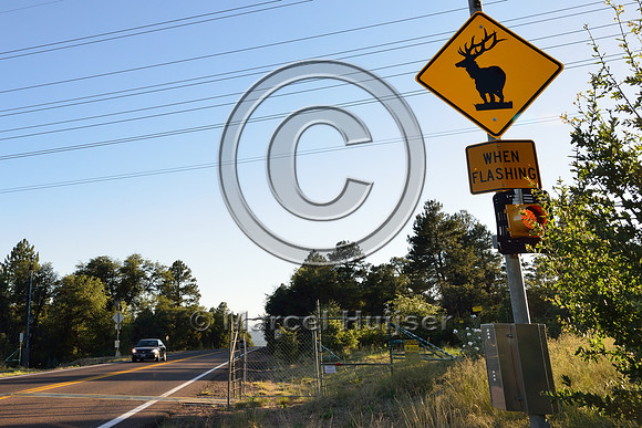 Animal detection and driver warning system, S.R. 260 east of Payson, Arizona, USA