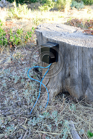 Break-the-beam counter associated with an animal detection and driver warning system at a fence end, S.R. 260 east of Payson, Arizona, USA